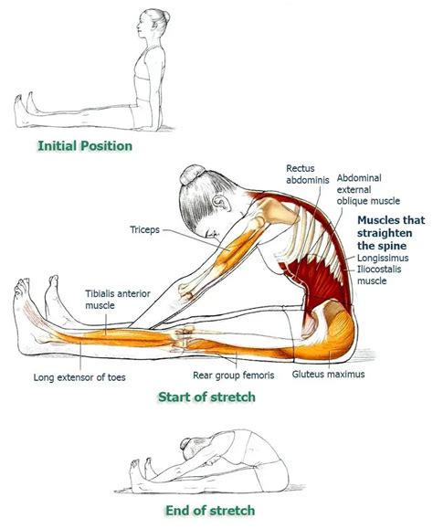 Exercises To Improve Your Posture And Bring Relief To Your Back And Spine