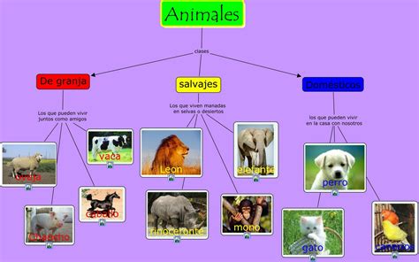 Un Mapa Conceptual De Animales