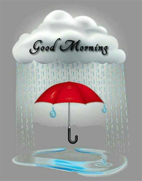 Full K Collection Of Over Amazing Rainy Good Morning Images