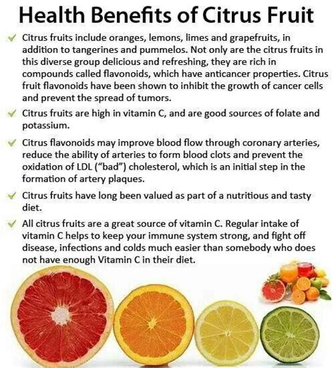 24 Delicious Citrus Fruits Recipes And Their Benefits Fruit Health