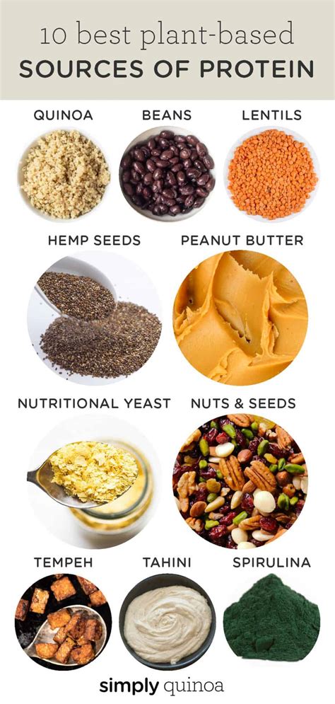 10 Best Sources Of Plant Based Protein Simply Quinoa