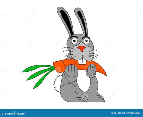 Cartoon White Rabbit With Carrot Stock Vector Illustration Of Holiday