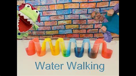 Water Walking Science For Kids Mixing Colors Educational Video
