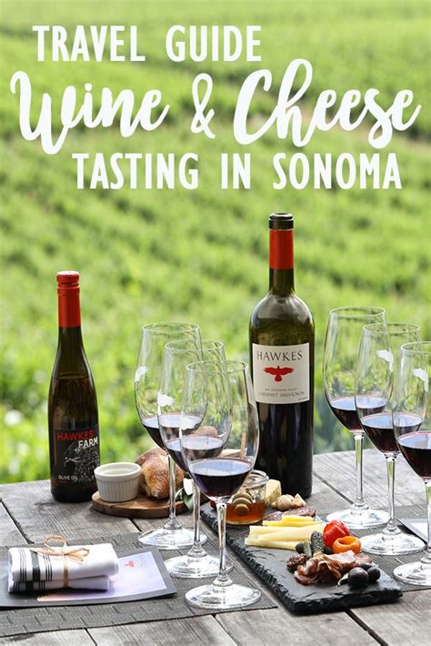 Taste Your Way Through The Top 20 Wineries In Sonoma County For Wine