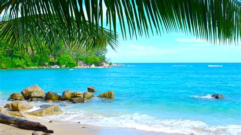 10 Best Tropical Beaches You Must Visit In Your Lifetime Add To