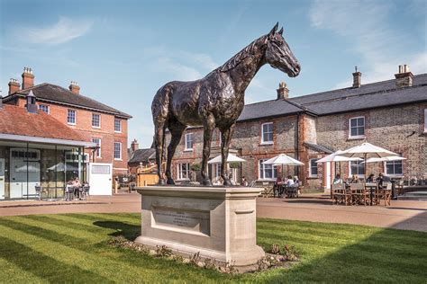 Discover Newmarket Tour T Vouchers Discover Newmarket Tours