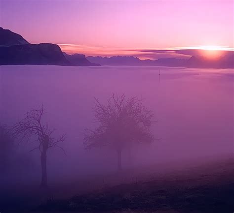 Der Nebel Eine Welt Für Sich Foto And Bild Natur Motive Bilder