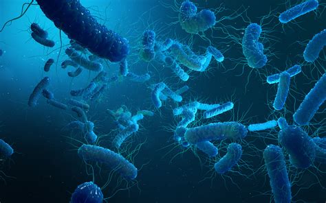 Download Wallpapers Bacteria Macro 3d Art Medical Concepts