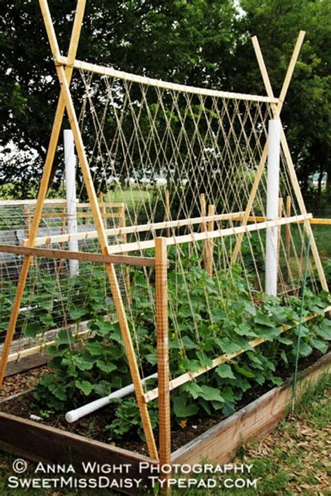 15 Easy Diy Cucumber Trellis Ideas Veggie Garden Vegetable Garden
