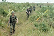 Vietnam War 1972 - Charlie Company Troops On Patrol | Vietnam war ...