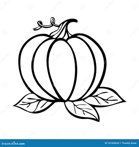 Black And White Vector Illustration Of A Pumpkin Stock Vector