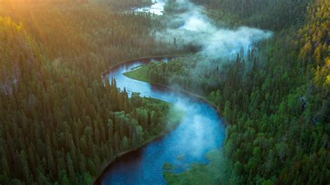 Aerial View Of Forest And River Landscape Hd Nature Wallpapers Hd