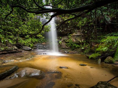 Beautiful Waterfall Deep In The Jungle Adeline Falls South Lawson