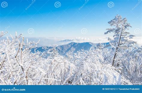 Deogyusan In Winterkorea Stock Photo Image Of Hill 50374212