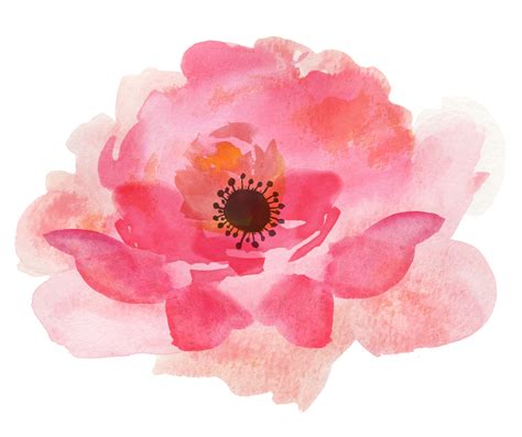 Polish your personal project or design with these watercolor flower transparent png images, make it even more personalized and more attractive. Watercolor Floral Png at GetDrawings | Free download