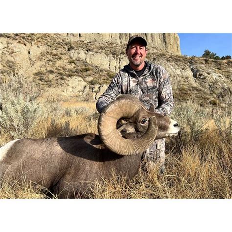 2023 North Dakota Rocky Mountain Bighorn Sheep License North Dakota