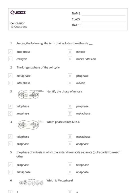 50 The Cell Cycle And Mitosis Worksheets For 11th Year On Quizizz