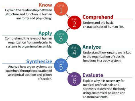 Levels Of Organization Anatomy