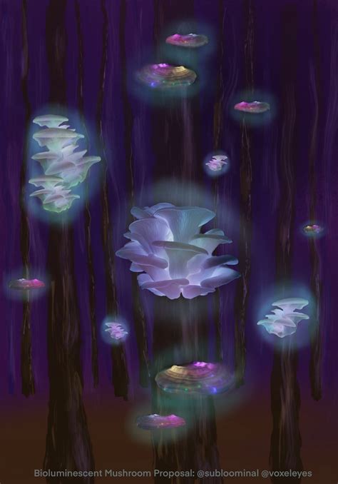 2022 Art Installation Winner Bioluminescent Mushroom Haven Electric