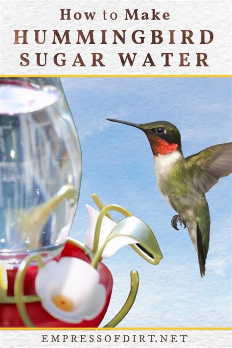 Follow this simple recipe for hummingbird nectar to attract hummingbirds to your backyard. How to Make Hummingbird Food (Sugar Water Recipe)
