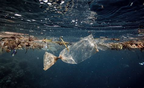 ¿qué Pasa Con El Plástico En El Mar La Invasión Del Ser Humano