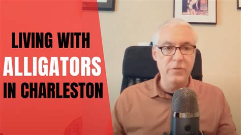 Ask Bob Alligators Charleston Sc Youtube