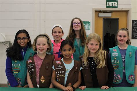 harrison township girl scouts learn all about stem the sun newspapers