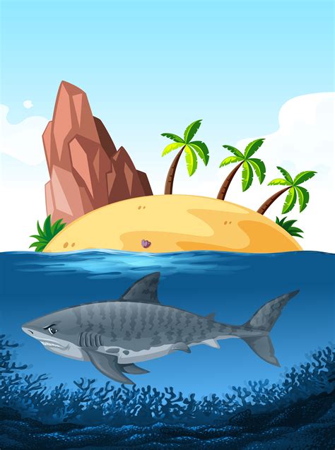Shark swimming under the ocean 669104 - Download Free Vectors, Clipart ...
