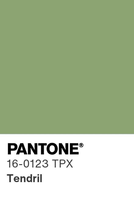 Pantone® Europe Pantone® 16 0123 Tpx Find A Pantone Color Quick