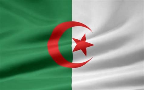 Sie besteht aus zwei gleich großen, vertikalen streifen, links grün und rechts weiß. Algerische Flagge - Juergen Priewe als Kunstdruck oder ...