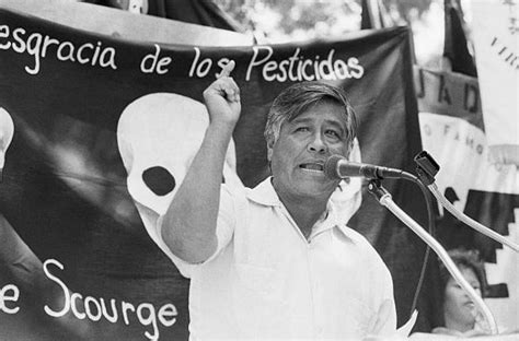 Remembering César Chávez The Delano Grape Strike And The Needs Of