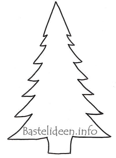 Ein nadelbaum, der in der weihnachtszeit als weihnachtsbaum benutzt wird. tannenbaum vorlage 597 Malvorlage Vorlage Ausmalbilder ...