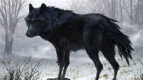 There is subdued animation and movement. 10 Best Black Wolf Wallpaper 1920X1080 FULL HD 1920×1080 ...