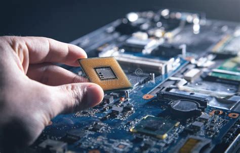 Technician Hand Holding Cpu Processor Of Pc Stock Photo Image Of