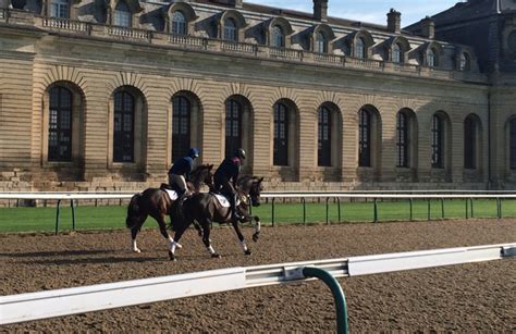 Team Usa Gallops At Famous Chantilly Racecourse Eventing Nation