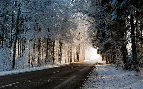 Winter Road Trees Snow Wallpaper Travel And World Wallpaper Better