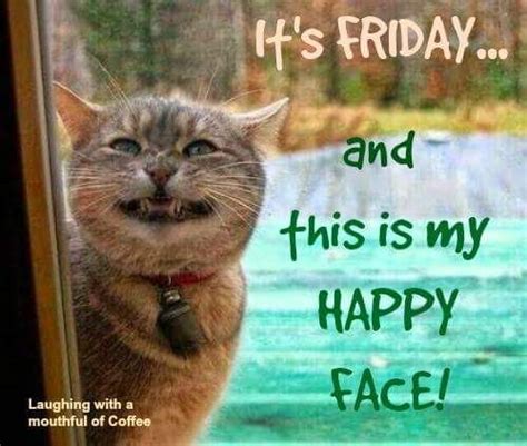 Happy Friday Cat Meme