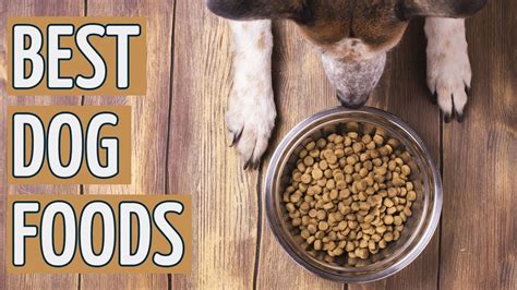 If you've got a dog with intolerances, chances are you know all about natural balance! ⭐️ Best Dog Food: TOP 10 Dog Foods 2019 REVIEWS ⭐️ - YouTube