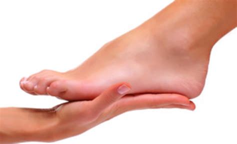 A structure used for locomotion or attachment in an invertebrate animal, such as the muscular organ extending from the v. Diabetic Foot Care - Women Fitness