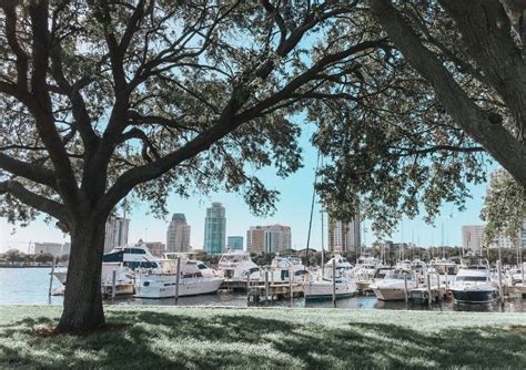 14 Best Neighborhoods To Live In Tampa Bay Unation