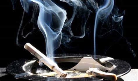 STF começa a julgar validade da venda de cigarros aromatizados Tudo