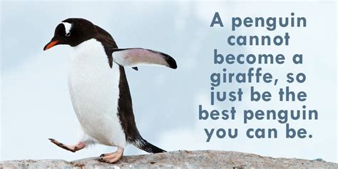 Best 25 quotes in «penguins quotes» category. #engagechat hashtag on Twitter | Penguins, Cool words, My motto
