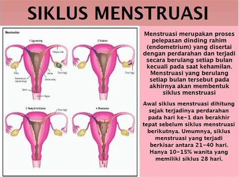 Tanda Akan Menstruasi Pada Wanita Tips Kesehatan Dr Oz Indonesia