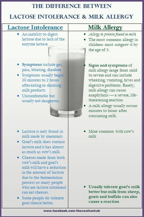 Care guide for ketogenic diet. The difference between a milk allergy and lactose