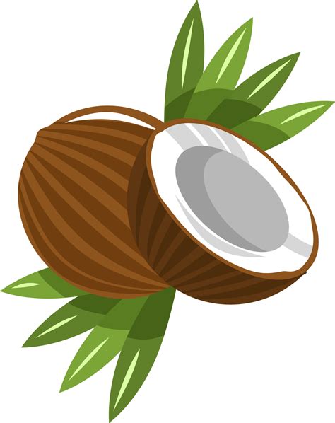 Clipart Of A Coconut