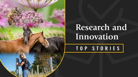 Top Rutgers Research and Innovation Stories of 2022 | Rutgers University