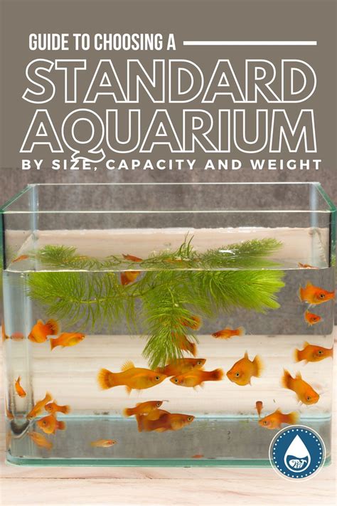 Guide To Choosing A Standard Aquarium By Size Capacity And Weight In Fish Tank Sizes
