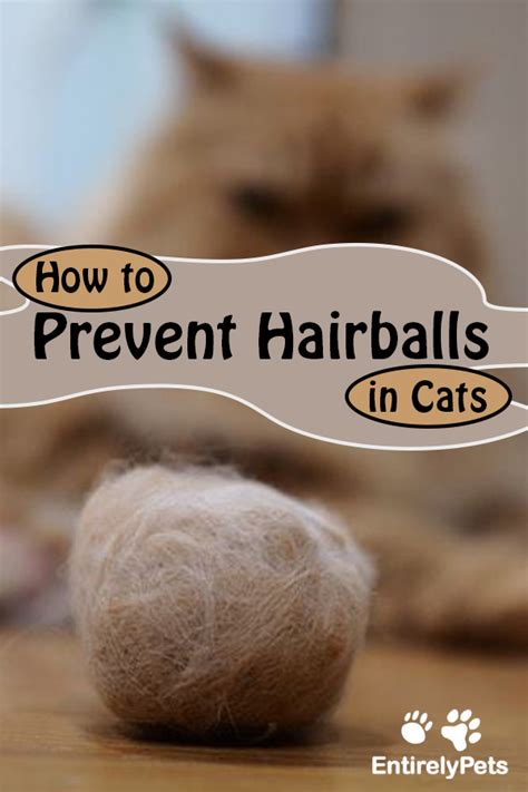 While cats will often throw up for more minor reasons, it's important to monitor your cat and see how often they are throwing up, how much is coming up, etc. How to Prevent Hairballs in Cats | Hairball, Prevention ...