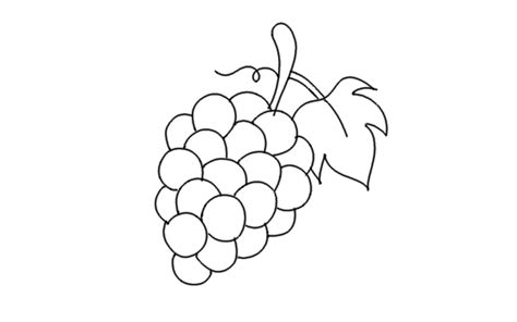 How To Draw A Grapes Step By Step Grapes Drawing For Kids