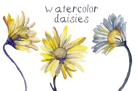 watercolor-daisies-watercolor-daisy-tattoo,-watercolor-feather,-daisy-tattoo-designs